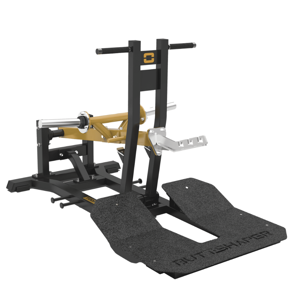 FWX-10200 BELT SQUAT